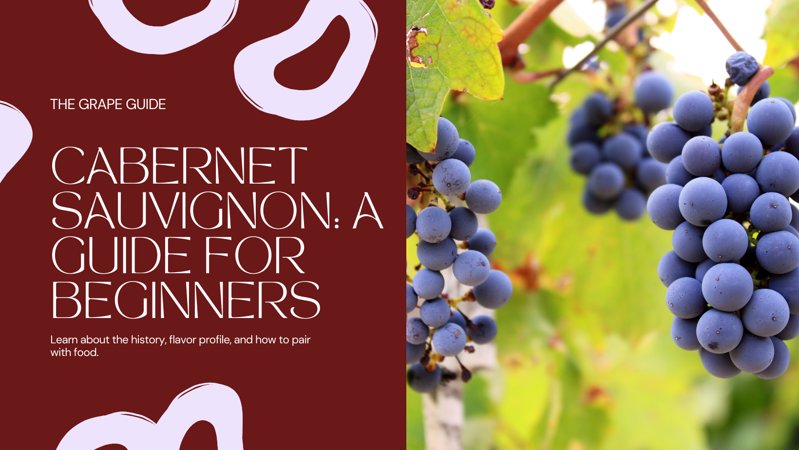 The Grapes Guide: Cabernet Sauvignon